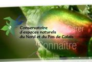 Actualités du conseil général
