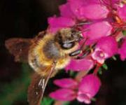 Actualit�s du conseil g�n�ral
